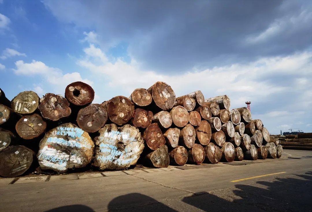 巴西木材价格全面上涨，进口商需注意，呆鸡哥安装维修平台